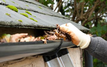gutter cleaning White Ball, Somerset